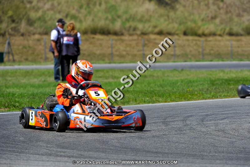 DSC_ (1477).jpg
